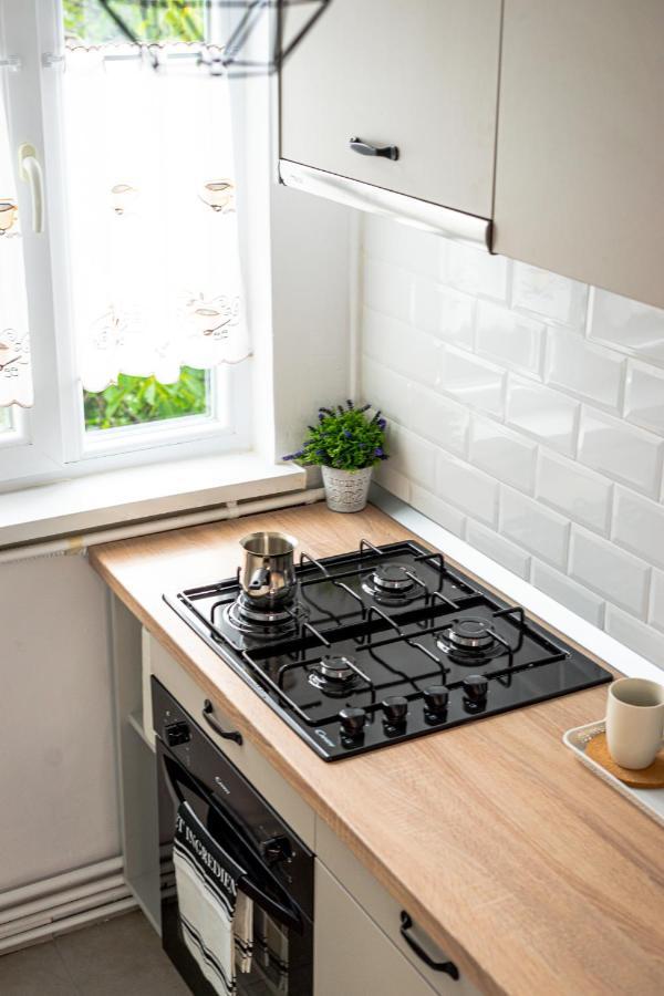 Central And Modern Apartment With Free Parking Timisoara Exterior photo